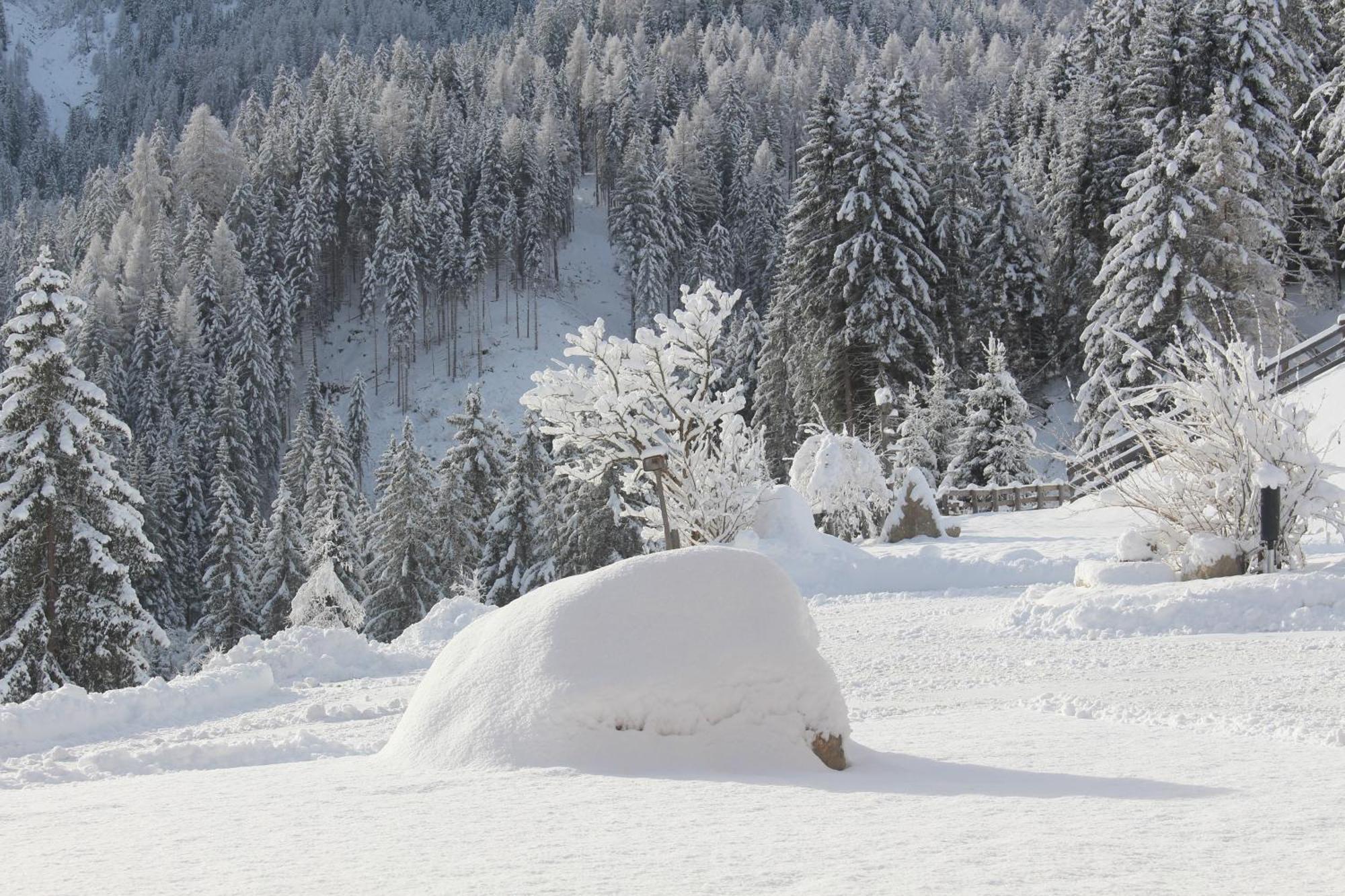 Almresidenz Unterrain -1 Km By Car Distance Ski Slopes Kronplatz Olang Exterior photo