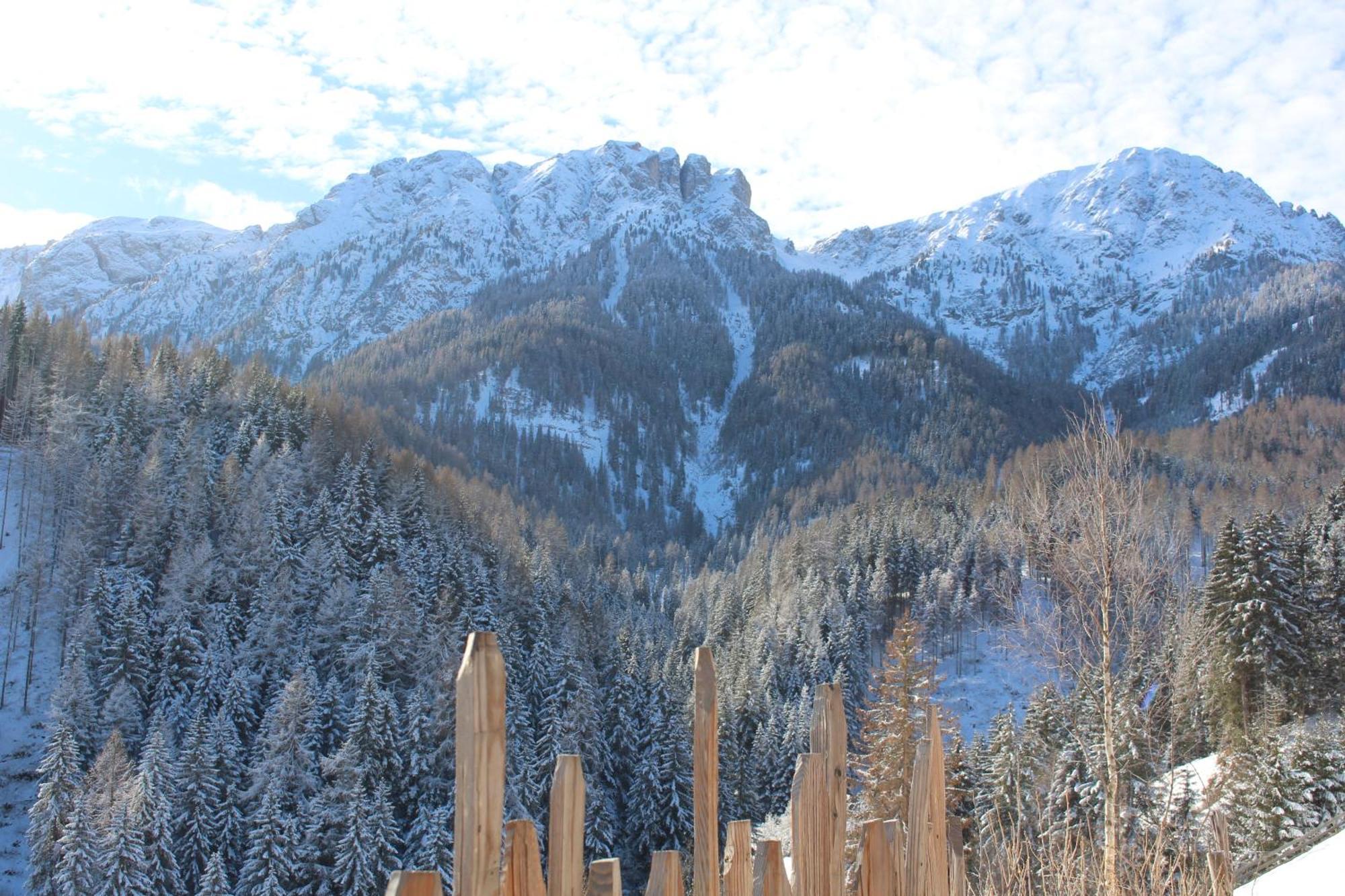 Almresidenz Unterrain -1 Km By Car Distance Ski Slopes Kronplatz Olang Exterior photo